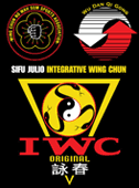 Sifu Julio Integrative Wing Chun